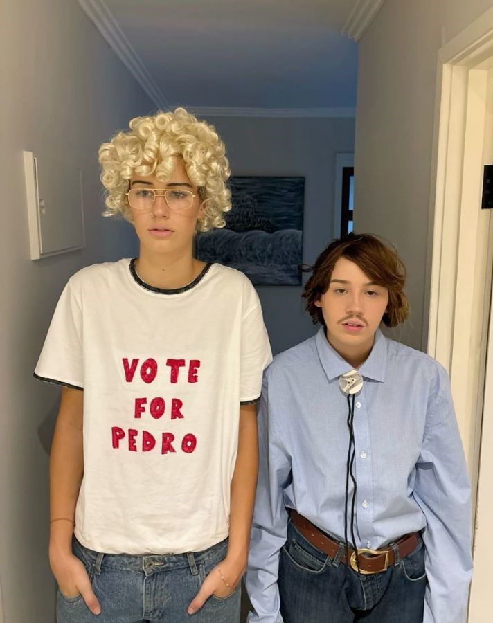 funny solo halloween costumes, duo halloween costumes diy, cheap diy halloween costumes, cute