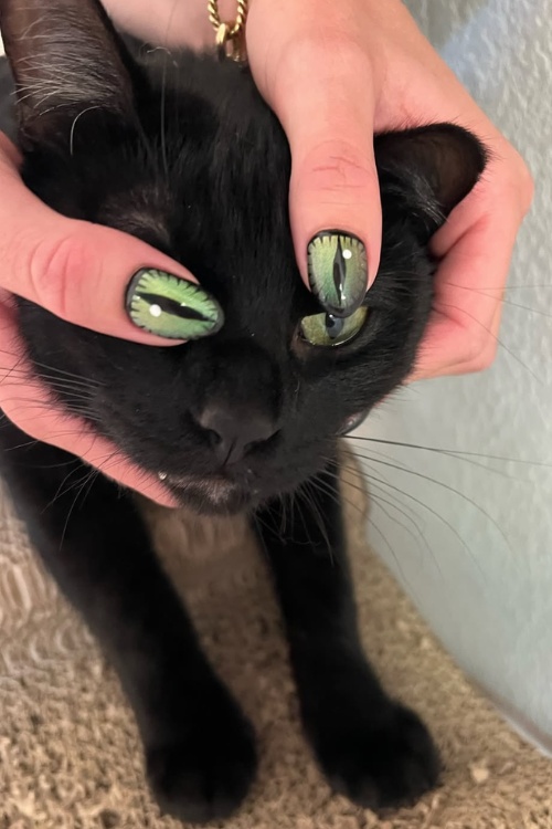 Green cat-eye nails with cat, Pinterest style