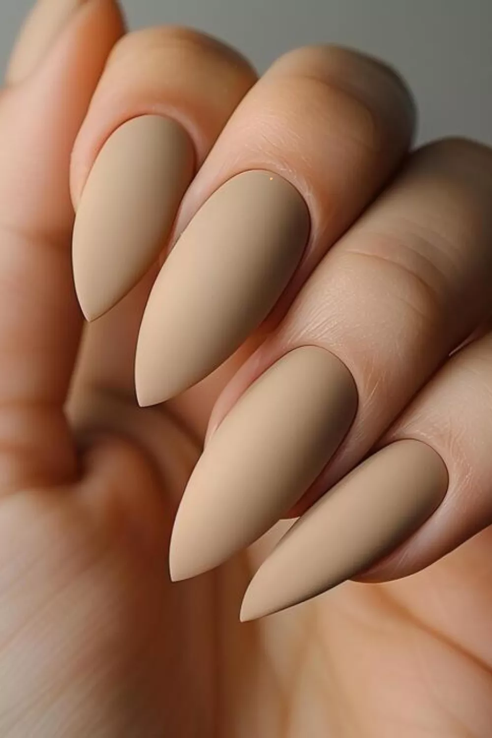 Long stiletto nails with matte nude finish