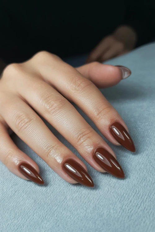 Rich chocolate stiletto nails, bold elegance