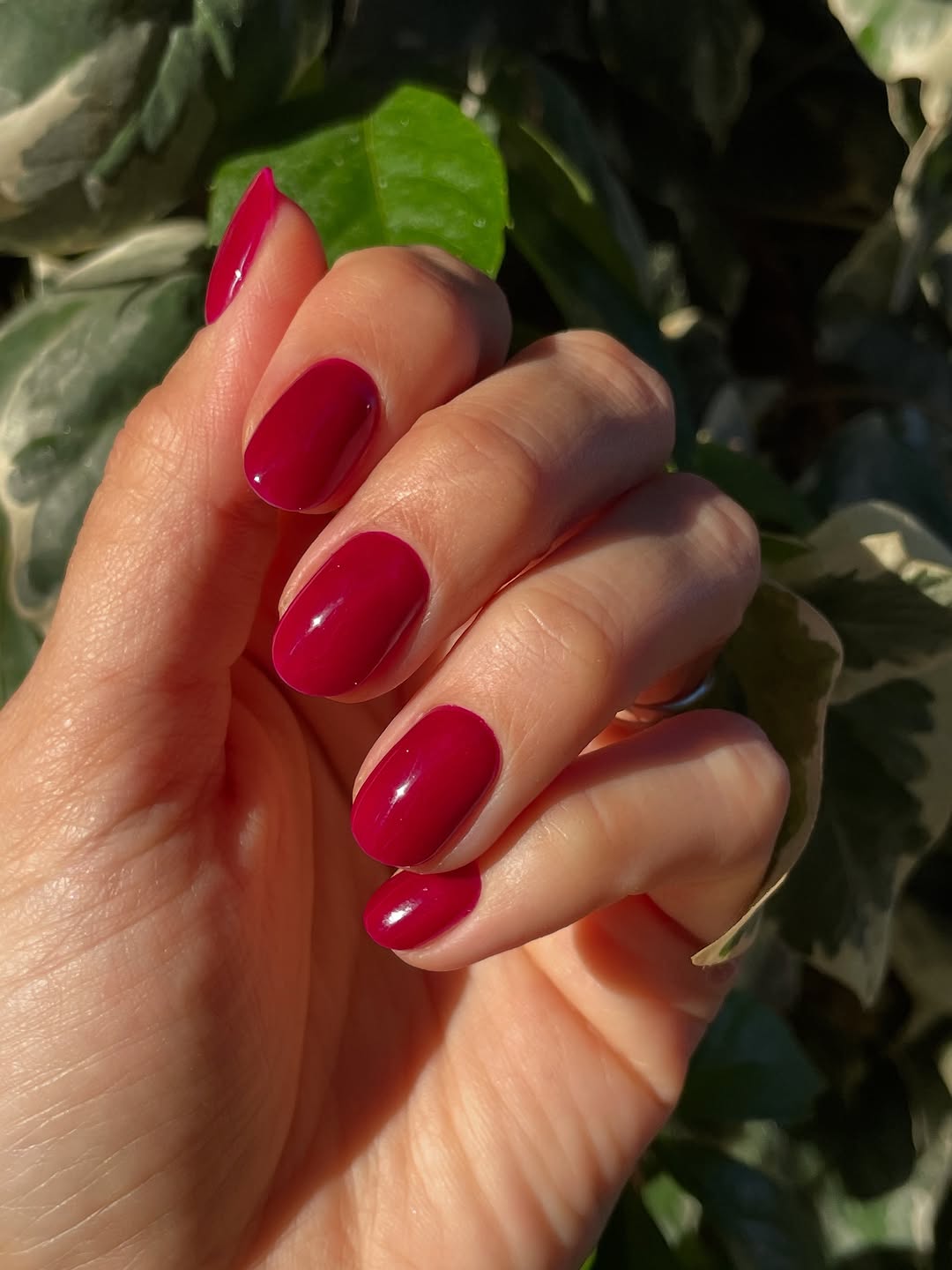 Short round gel nails in rich berry shade